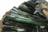 Emerald-Green Vivianite Crystals in Phosphatic Nodule - Brazil #218267-4